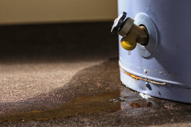Best Mold removal after water damage  in Clark Mills, NY