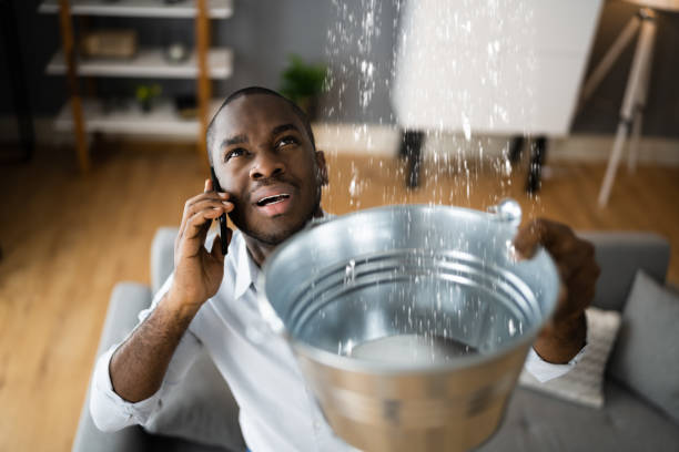 Best Ceiling water damage repair  in Clark Mills, NY
