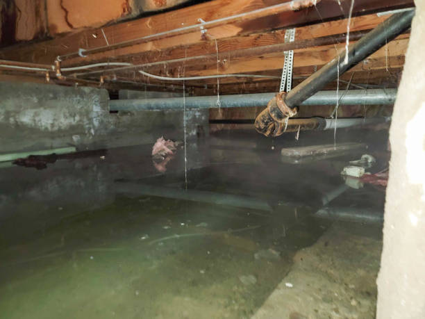  Clark Mills, NY Water damage restoration Pros