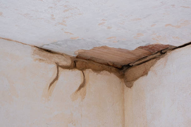 Best Professional water damage repair  in Clark Mills, NY