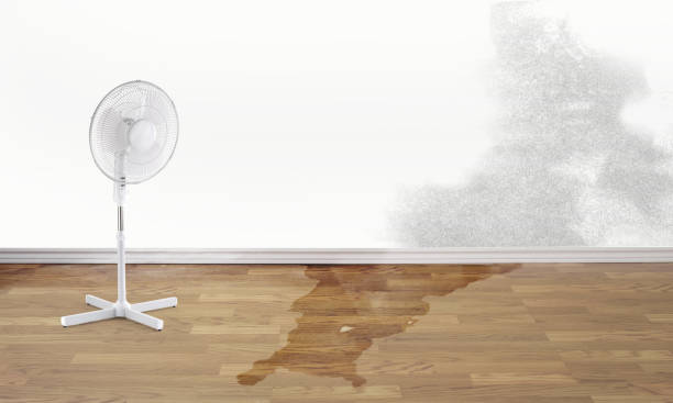 Best Flooded house restoration  in Clark Mills, NY
