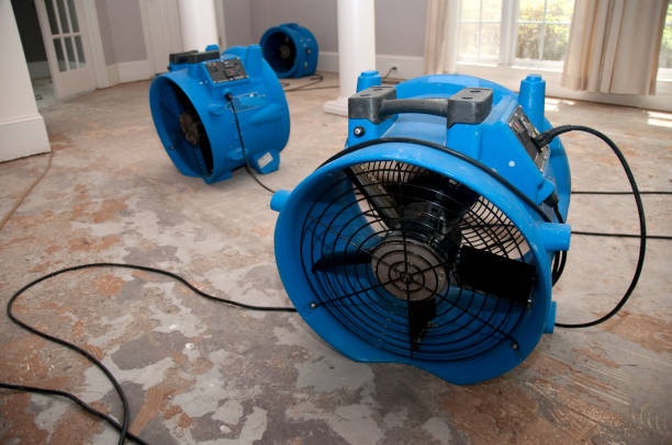Best 24-hour water damage restoration  in Clark Mills, NY